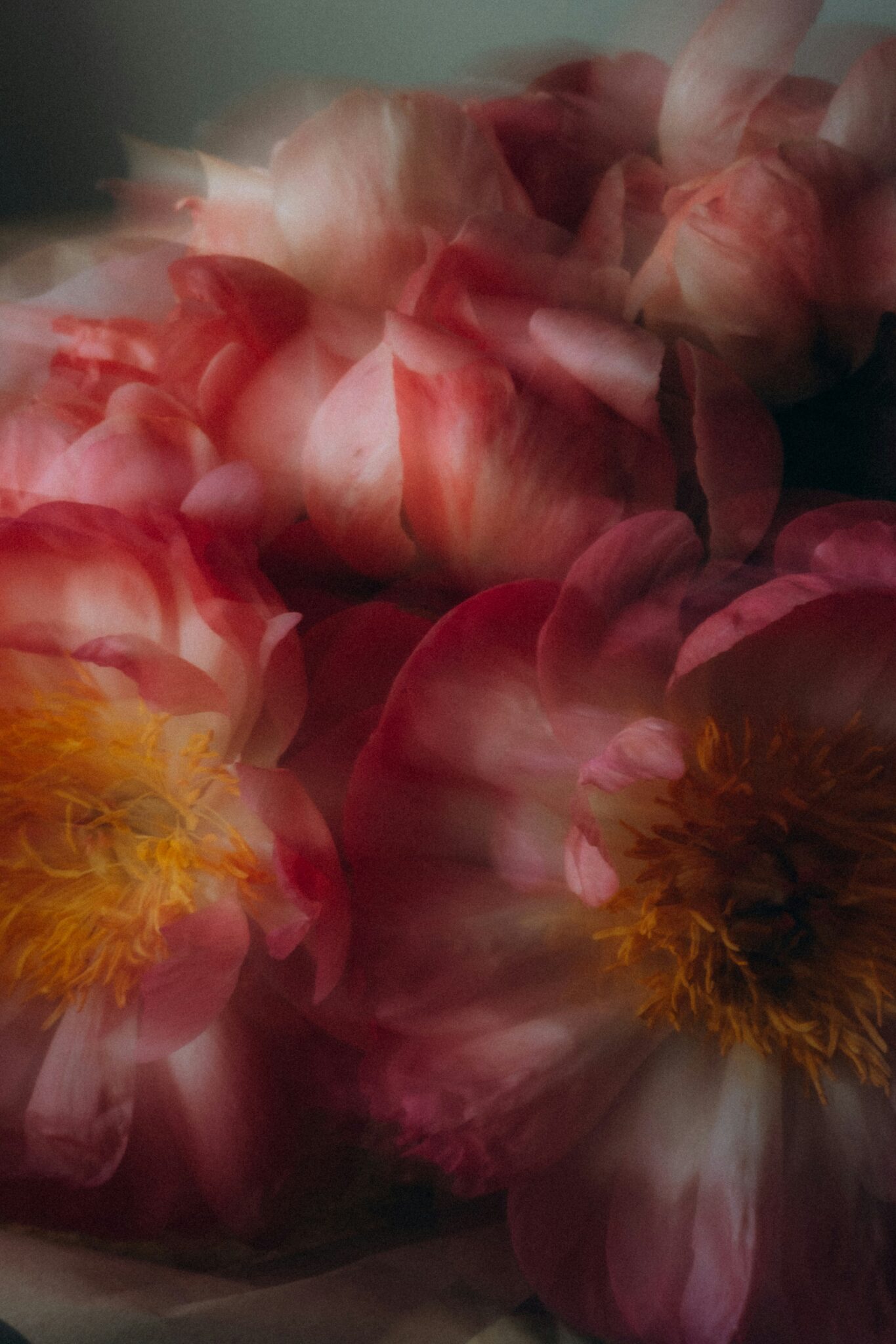 What does ‘subverting expectations’ mean? – Aishwariya's LittLog